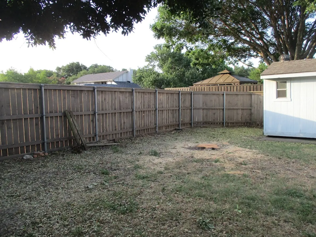 Cleared yard after professional tree removal in Austinville